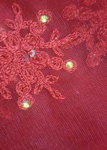 Stunning Red Embroidered Saree
