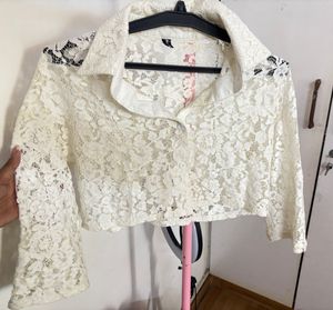 Sheer Lace Cropped top Blouse