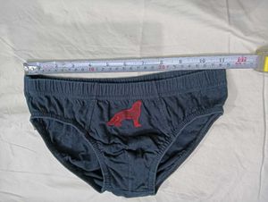 Men's Blue💛 Briefs with Wolf Logo