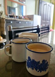Vintage Enamel Mugs(2pcs) with Blue Roses 200ml