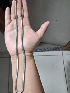 Silver Snake Chain Necklace