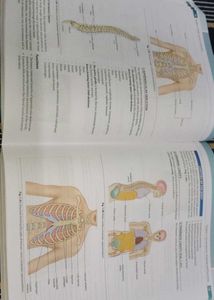 Applied Anatomy &amp; Physiology for Nurses Textbook