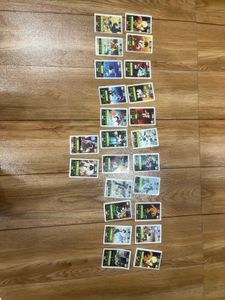 Boomer Ben 10 24Cards