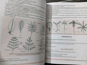 New ISC Lab Skills in Biology Class XI and XII