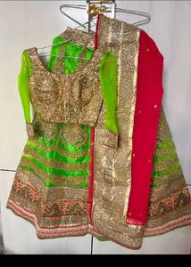 Stunning Green &amp; Gold Lehenga Choli