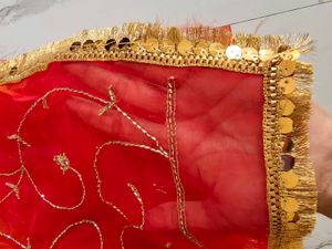 Vibrant Ombre darbari Sarees