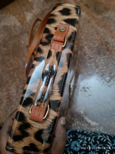 new Leopard Print Crossbody Bag