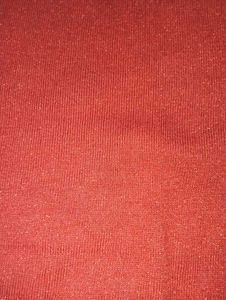 Sparkly Red Top