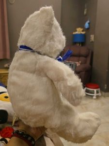 Collectible Limited Edition Teddy Bear ( BAB)