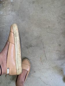 Bellies(used)