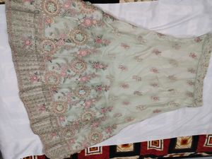 Light green lehenga (Totally New Leheng