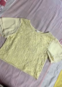 Elegant Lace Sleeve Top