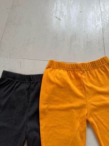Flared Pants - 3 Colors