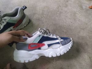 Casual Shoes