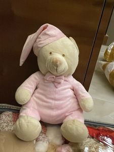 Adorable Pink Teddy Bear
