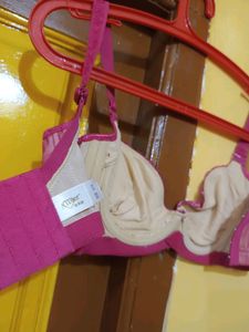 34 Size Bra New