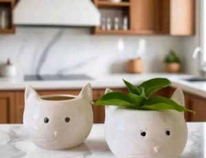 Cute Cat Planter