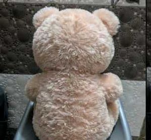 Soft Plush Teddy Bear Toy