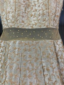 Beautiful Gown Heavy Thread Work