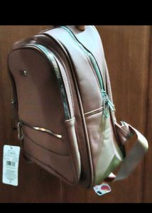Stylish Pink Backpack