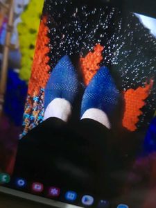 blue bellies