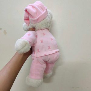 pink teddy 🧸