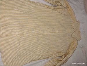Striped Button-Down Shirt