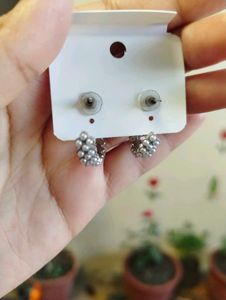 Cute Bow Pearl combo Earrings