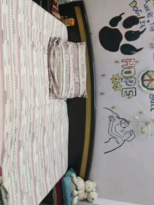 Combo Bed Sheet