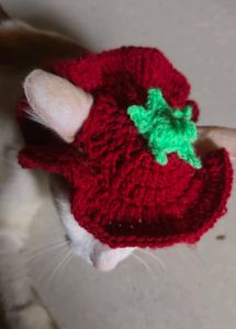Handmade Cat Hat