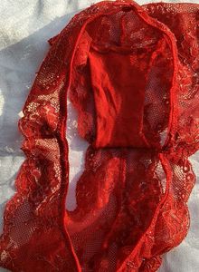 Sheer Lace Red Briefs