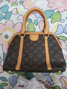 LV bag