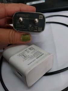 Samsung Travel Adapter with Cable