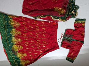 Red Embroidered Lehenga Choli