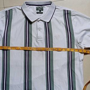 Colorplus Polo Tshirt For Men