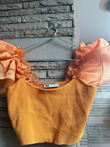Zara Organza Sleeves Crop Top