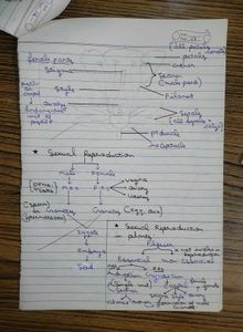 Class 10th Bio &amp; Chemistry Loose Notes for Rev.
