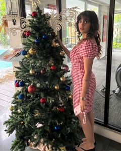Red Gingham Puff Sleeve Dress