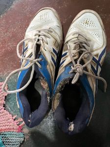 Used Pro ASE Sport Shoes