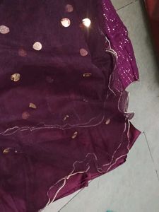 Sparkling Ethnic Gown