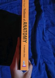Anatomy Textbook by Inderbir Singh