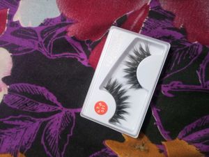 Eye Lashes