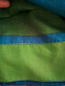 New Sari No Blouse