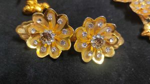 Hair Clips And Saree Brouch
