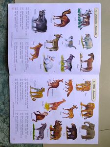 Kids Book
