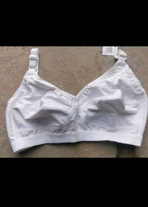 Comfortable Cotton Everyday Bra Combo PACK OF 2