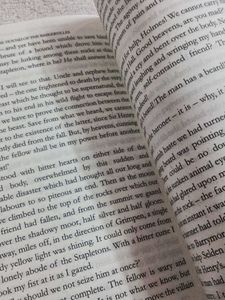 The Hound Of Th Baskervilles