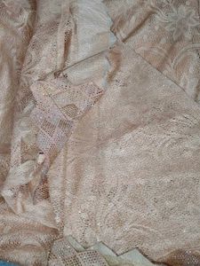 Elegant Peach Lace Saree with Gold Accents