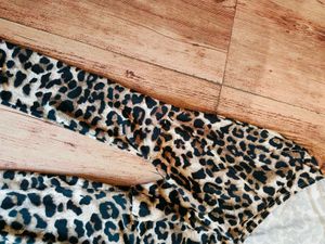 Tigress Unleashed