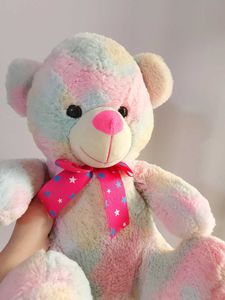 Rainbow Teddy Bear Plush Toy